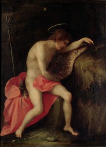 San Juan Bautista en el desierto de Andrea del Sarto